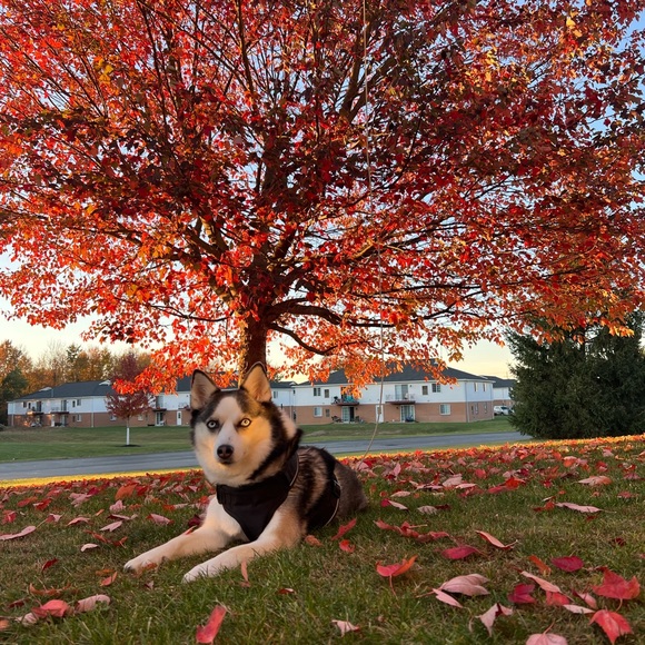 MEET ERICA !! 🩷🎀🩷 - Picture 2 of 3